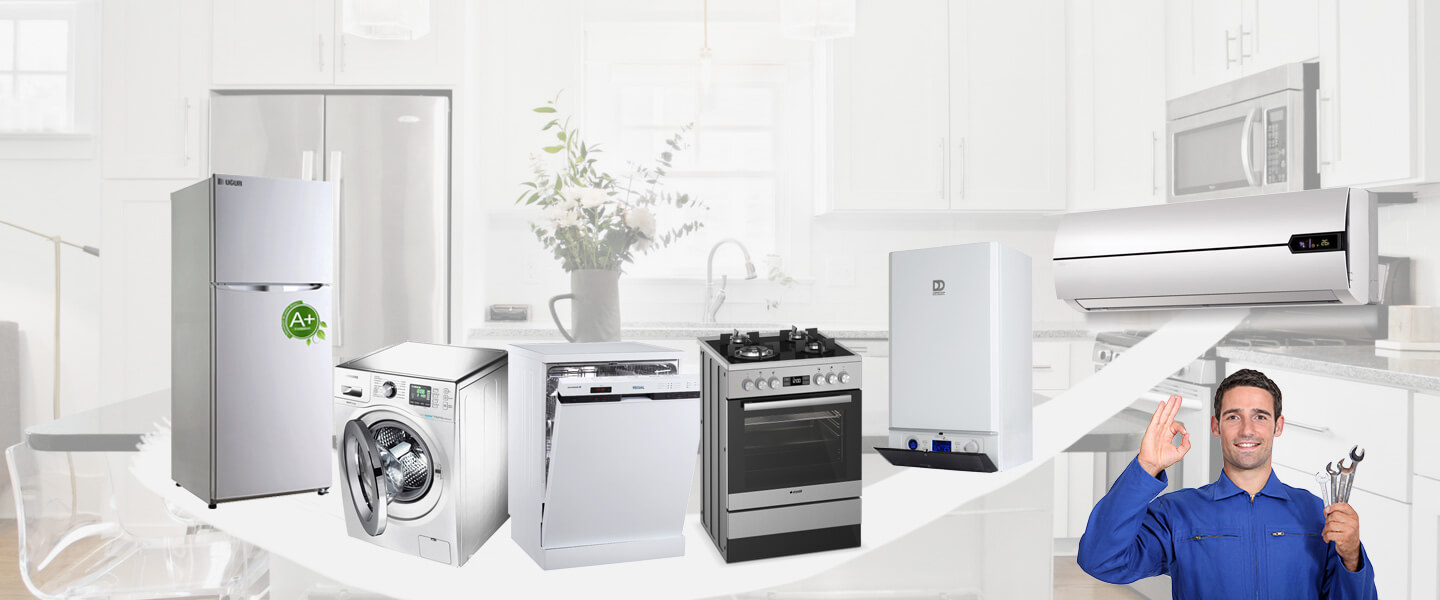 Eyyübiye Electrolux Servisi